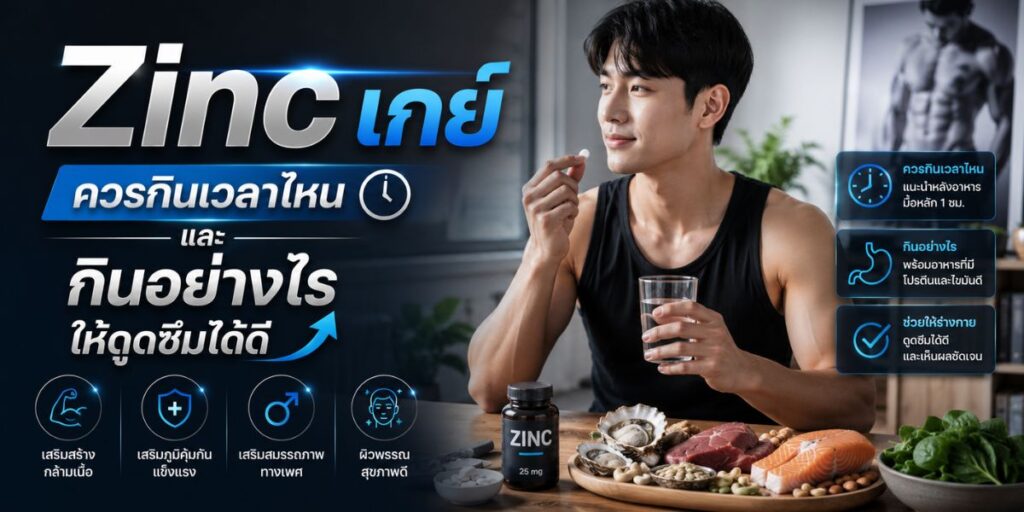 Zinc เกย์ ควรกินเวลาไหน และกินอย่างไรให้ดูดซึมได้ดี